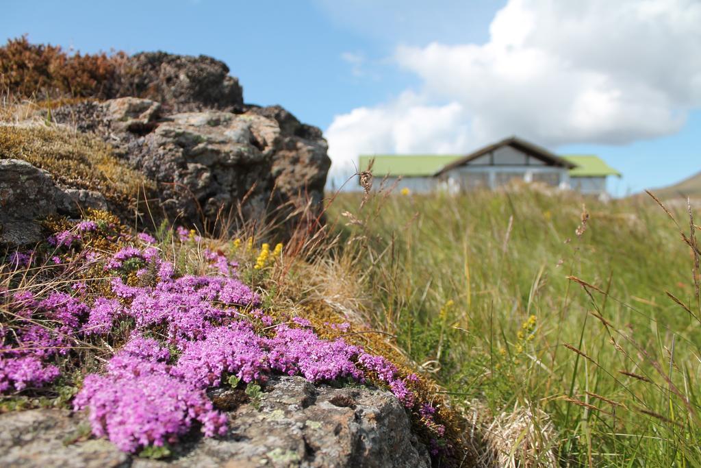 Holiday home Hoemluholt Homes Homluholt